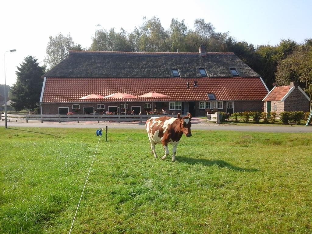 B&B De Luttikhoeve Giethmen Luaran gambar
